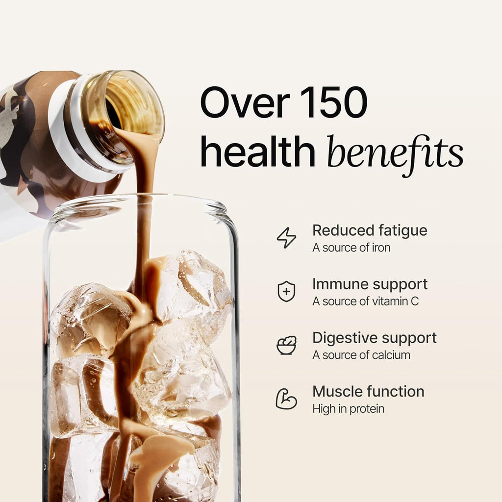 Ready-To-Drink | Chocolate Meal Replacement Drink | High Protein Drink | Nutritionally Complete, Low Sugar, High Fiber, Plant Based, Vegan, Healthy | 20G Protein per Bottle | 16.9 Fl Oz (12 Pack)